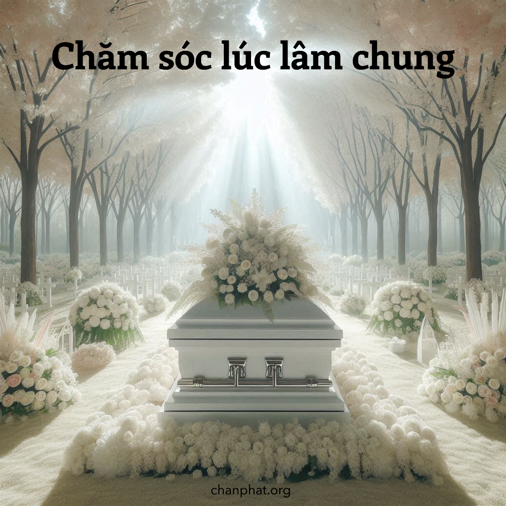 Ảnh minh họa Chăm sóc lúc lâm chung